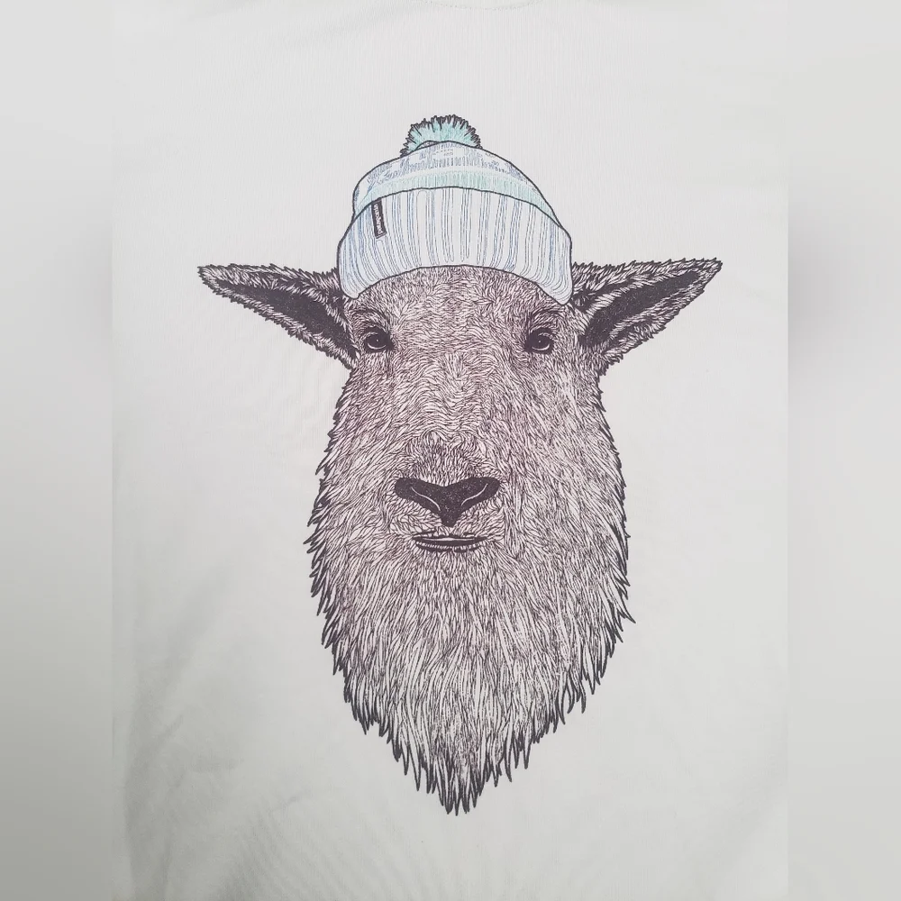 SOLD Men's L Patagonia Capilene Base Layer - Picture 2 of 5